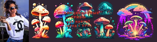 гашик Заволжье